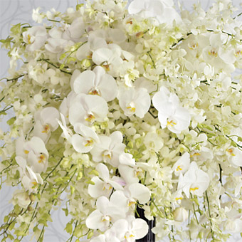 gelin cicegi20-129.jpg